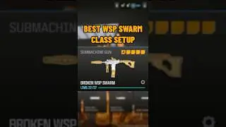 new BROKEN META WSP SWARM SETUP in MW3!