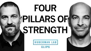 Four Pillars of Strength for Longevity | Dr. Peter Attia & Dr. Andrew Huberman