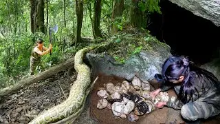 Encounter With Giant Python in the Forest - Enter the Cave and Catch Baby Python, Part 5