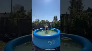 Тест двухцветных приманок #shorts #рыбалка #kupijig
