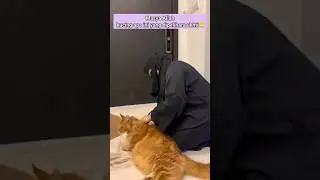 Masya Allah super besar kucing peliharaan ukhti bercadar