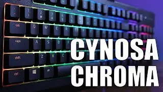 NEW Razer Cynosa Chroma Review