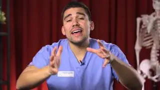 Spleen physiology What does the spleen do in 2 minutes