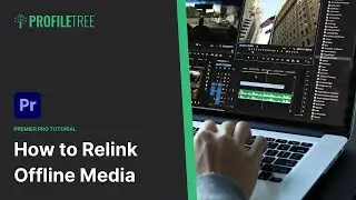 Relink Offline Media | Episode 27 | Adobe Premiere Pro | Premiere Pro Tutorial | Video Editing