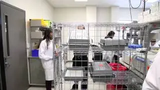 Inside the Mayo Clinic Biobank
