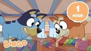 🔴LIVE: A New Year with Bingo! ✨🧡 | Time to Celebrate with Bluey and Bingo | Fun and Games | Bingo