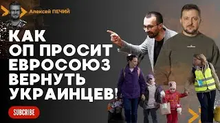 Офис президента ПРОСИТ ЕС НЕ ПОМОГАТЬ украинцам в Европе и вернуть всех в Украину, - POLITICO