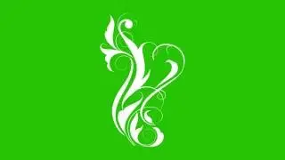Flourish Green screen - Motion graphics animation - Video background
