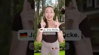🦟GEBISSEN oder GESTOCHEN? (Alltagsdeutsch | Deutsch lernen | Learn German) #shorts #deutsch
