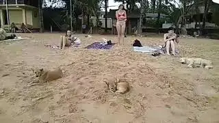 Шри Ланка. Октябрь. Второй день отдиха и лечения...