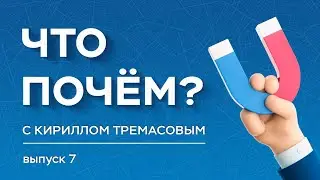 «Что почем?» с Кириллом Тремасовым, выпуск №7