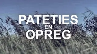 PATETIES en OPREG