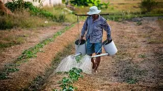 Paul Harvey -God made a farmer