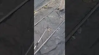 Как заработать в деревне!? бизнес в деревне 