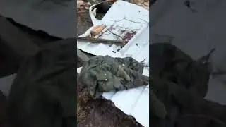 ВСУ разбила очередную колонну российских войск некоторых бойцов РФ взяли в плен