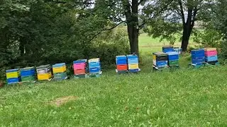 Сегодня на пасеки,  осенние работы 08. Oktober 2024
