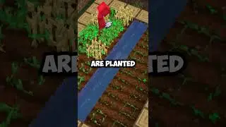 Fix Your Crop Farm