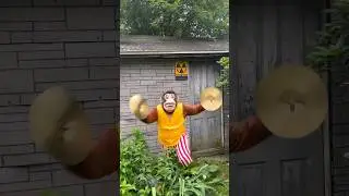 THE FALLOUT MONKEY COMES TO LIFE?!