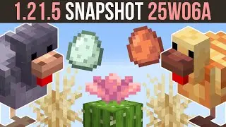 Snapshot 25W06A | New Chickens, Cactus Flower & Dry Grass | Minecraft 1.21.5