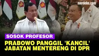 Kejutan Prabowo Panggil Sosok Profesor Kancil, Punya Jabatan Mentereng di DPR