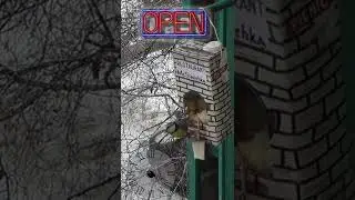 Ресторан McSinichka, Пятничный 