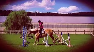 Confident - Equestrian Edit