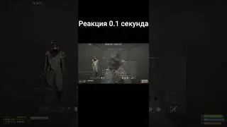 #раст