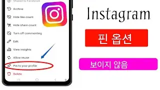 Instagram 게시물 핀 옵션이 표시되지 않음 2024|| Instagram 게시물 핀 옵션이 표시되지 않는 문제를 해결하는 방법 해결