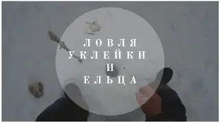 Зимняя рыбалка на снегоходе | Река малый Кинель | Ловля уклейки и ельца | В гостях у Владимира