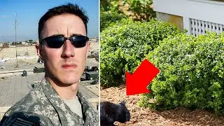 Soldier On The Verge Of Ending Life Hears A Whisper From The Bushes That Changes His Life Forever