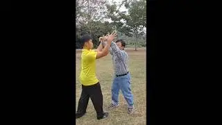 White Crane 白鶴拳 - Movement from Three Battles and Basic Partner Work   三戰牽打