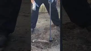 Easy Tree Stump Removal, No major tools required!