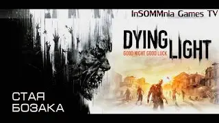 Прохождение Dying Light - Стая Бозака