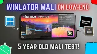 WINLATOR Mali On Low-End GPU Android Phone - 4GB RAM Test!