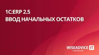 1C:ERP 2.5 - ввод начальных остатков