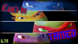 [TMNT 2012] Can't be Tamed