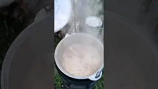 Каша или плов? 