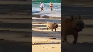 Ты смотри, что он творит