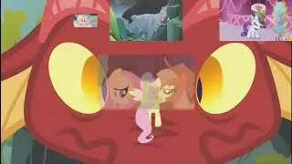 Fluttershy: 