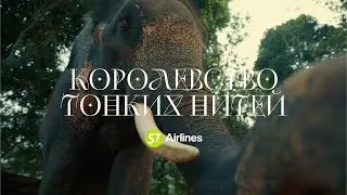 S7 Airlines | Королевство тонких нитей | тизер