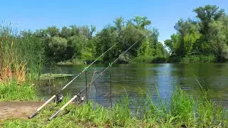 🎣Я ЗАМОРИВСЯ ЇХ ТЯГАТИ ЛЮТА РОЗДАЧА р. Псел 🐟 Карась на фідер. Фідерна рибалка з ночівлею.