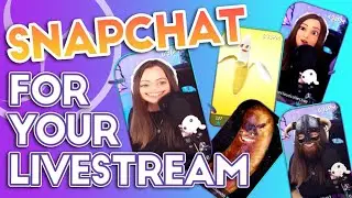 SNAPCHAT filters for your LIVE STREAM | Ft SNAPCAM & LIORANBOARD