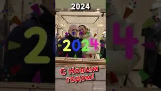 с Новым 2024 годом