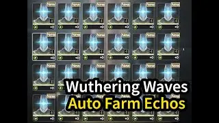 [Wuthering Waves 2.0 WuWa] Auto Farm Echo tutorial with ok-ww