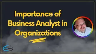 Importance of Business Analyst in Organizations