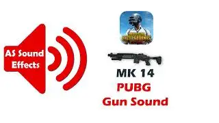 PUBG MK 14 Real Gun Sound 2022