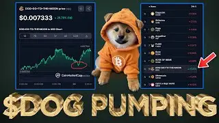 $DOG Top Performing Meme 24HRS 😱 (Binance Listing Coming)