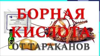 БОРНАЯ КИСЛОТА ОТ ТАРАКАНОВ