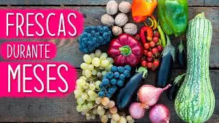 Cómo CONSERVAR y ALMACENAR verduras durante meses