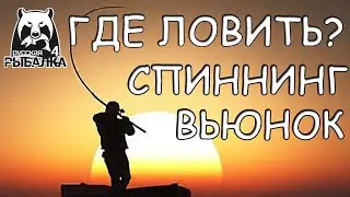 Русская рыбалка 4 Где ловить? Вьюнок Спиннинг Где клюет?